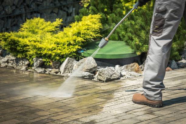 Best Pre-Holiday Cleaning  in Kewanee, IL