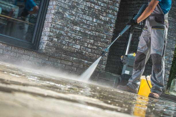 Best Dumpster Area Cleaning  in Kewanee, IL